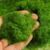 Artificial Grass Powder Sandbox Game Craft Decor Micro Landscape Decoration Home Garden DIY Accessories Building Model Material