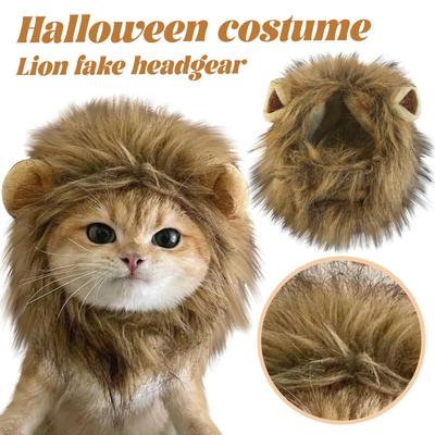 Costumes amusants pour animaux de compagnie, chats et chiens transformés en costumes de vacances amusants, chapeaux et couvre-chefs sauvages