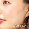 excel Seamless Tone Blush SB02 (Sister) Cheek