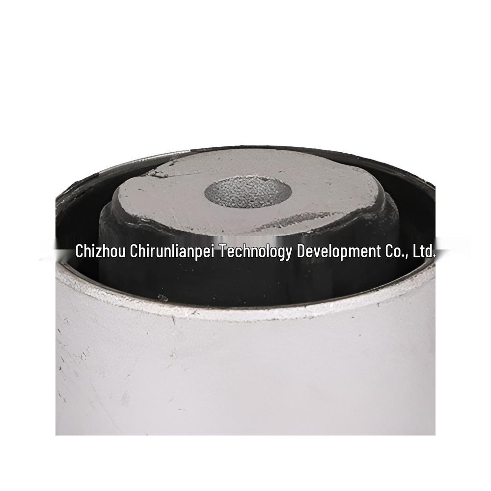 Mercedes-Benz Car Differential Seal 1663330814 Available for International Sale