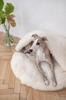 Natural Sheepskin Pet Cave - White 60 cm