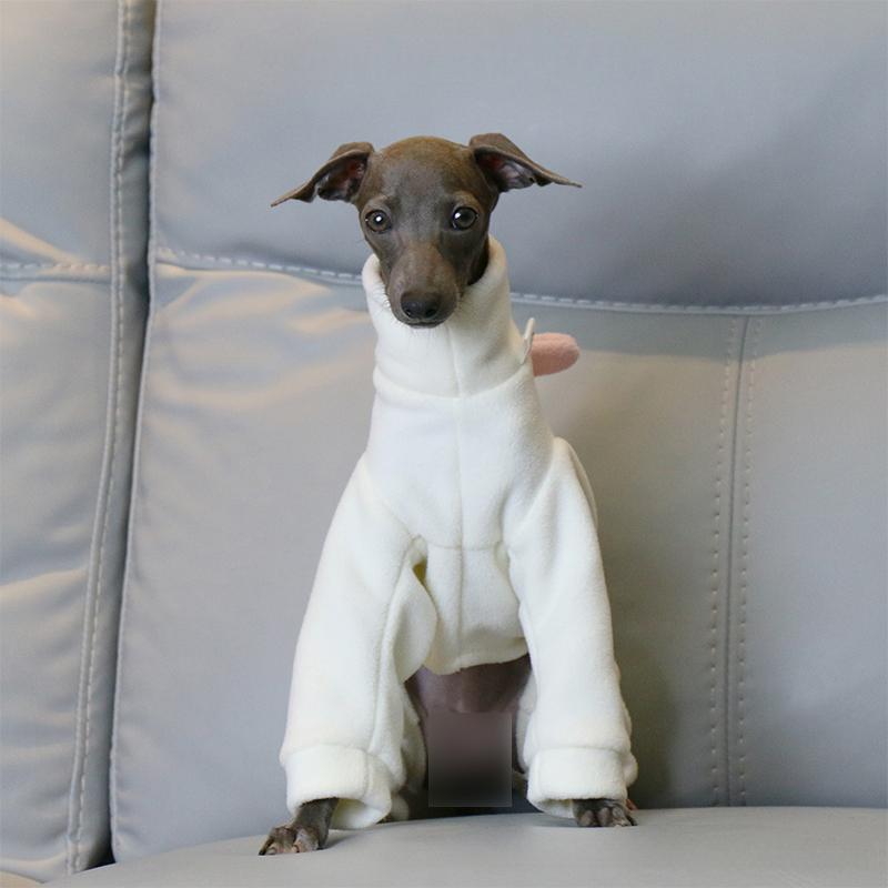 Haustierkleidung Hund Kleiner Greyhound Herbst Winter Polar Warm Rollkragenmantel Entzückendes Dinosaurierkostüm für Kleine Mittlere Große Hunde