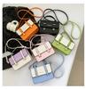 Chic Colorful 2024 Fashion Small Shoulder Bag Women's Texture Handbag Street Style