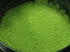 Matcha Aoiarashi Uji Marukyu Koyamaen (lattina da 40g)