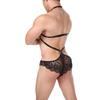 Men's Erotic Lace Lingerie Set - Cutout Bra & Panties