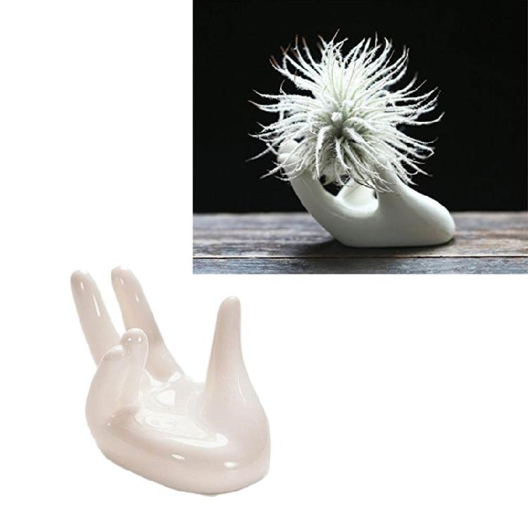 3Pcs Air Plant Holder Ceramics Airplants Holder Small Container Pots Hand Shape