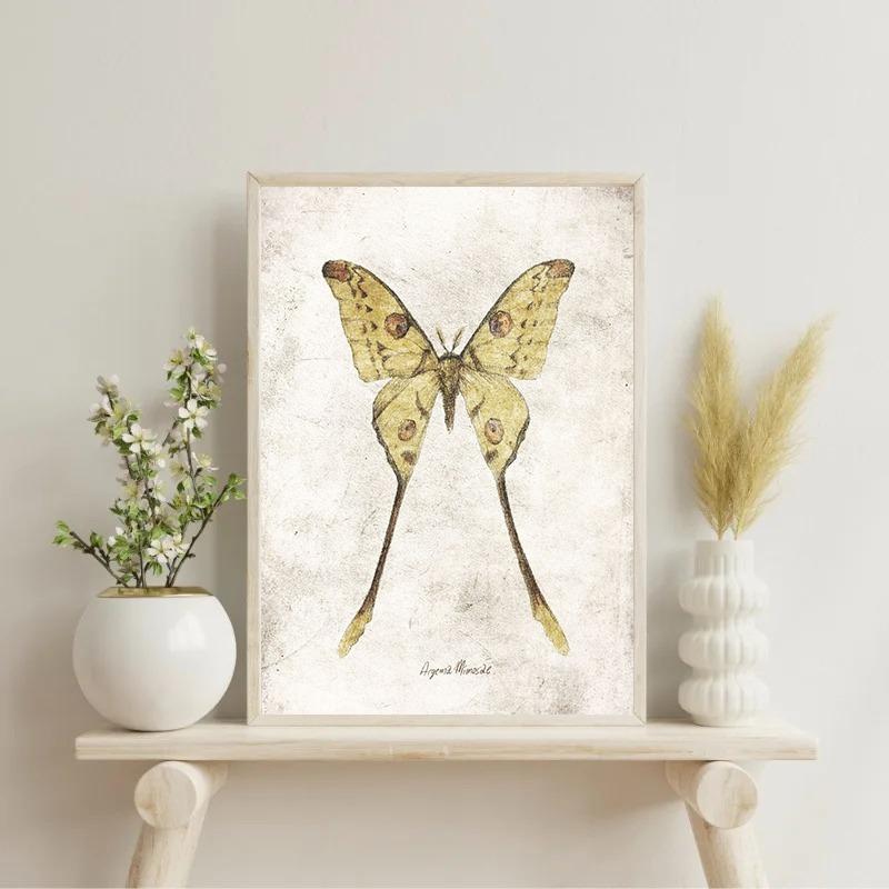 Vintage Butterflies and Moths Insect Studies Specimen Posters Prints Canvas Printing Wall Art Picture for Living Room Home Decor