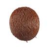 Animals Cartoon Hedgehog Decompression Toys Quick Rebound  Fun   Stress Reliever