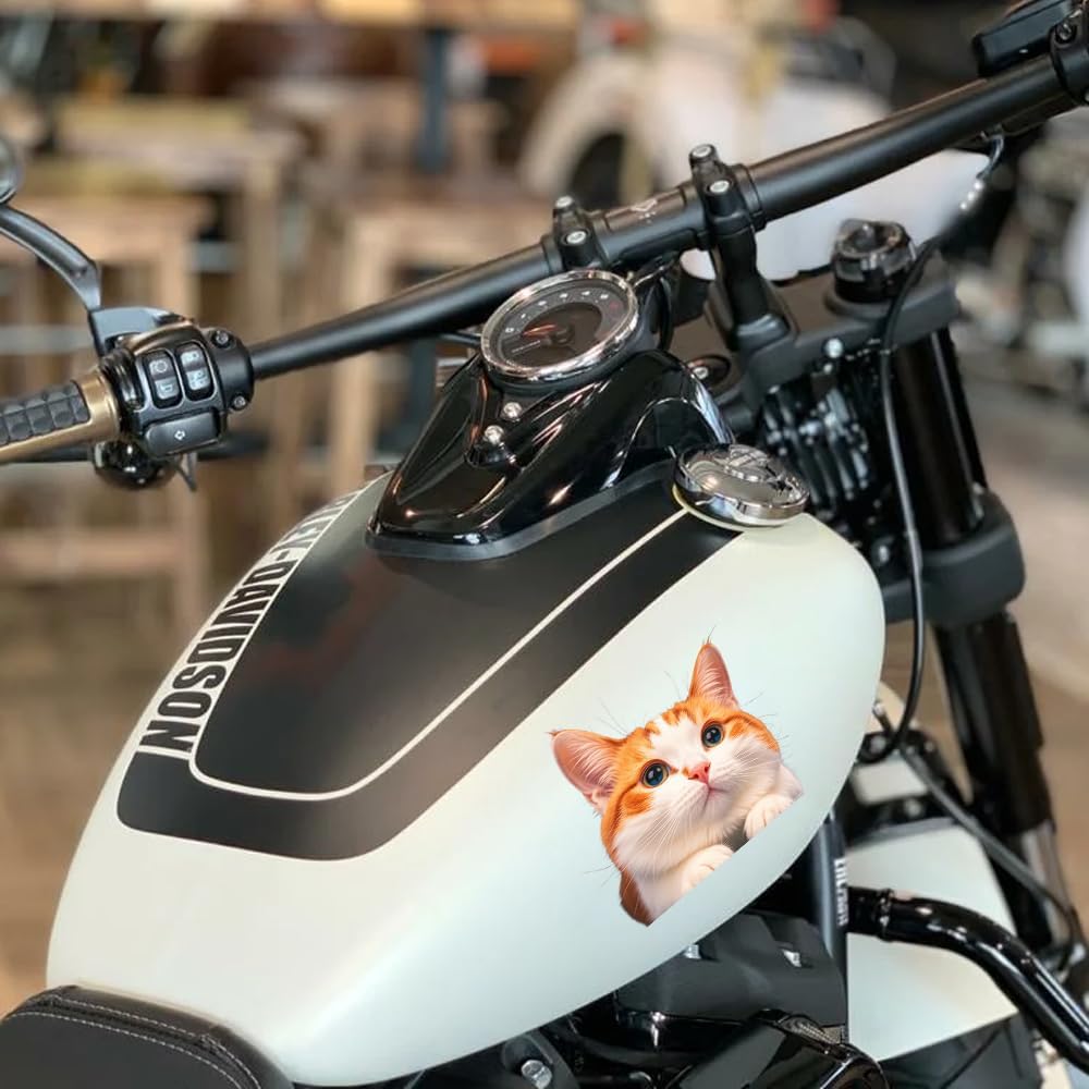 Cat Car Window Decals Funny 3D Waterproof Decals,Orange Cat Stickers,PVC Realistic Automotive Sticker, for Refrigerator,Toilet, Wall.Bathroom,1pcs