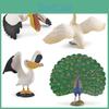 Wildlife Pelican Peafowl Animal Pvc Models For Kids Educational Decor Toys And