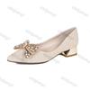 Fashion Women's Summer Pointed Toe Thick Heel 2025 New Bowknot Rhinestone Shallow Mouth Large Size Slip On Low Heels Women's Shoes