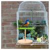 T02C!Bird Training Stand Bird Training Stand Perch Stand Base For Desk Floor Playtime Activities Floor And Birdcage Use For Trai