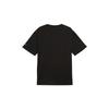Puma Rad Men's 684177-01