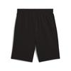 Puma ESS 2 COLOR NO.1 LOGO TR Men's Shorts Black 68471501 R S