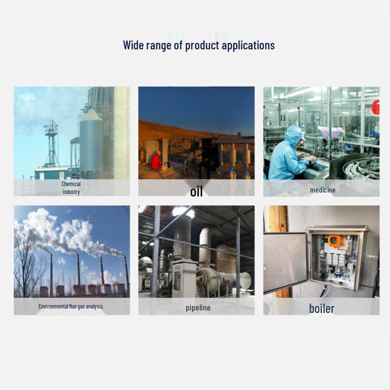 PLC and DCS Integrated Oxygen Level Detector and Alarm Instrument