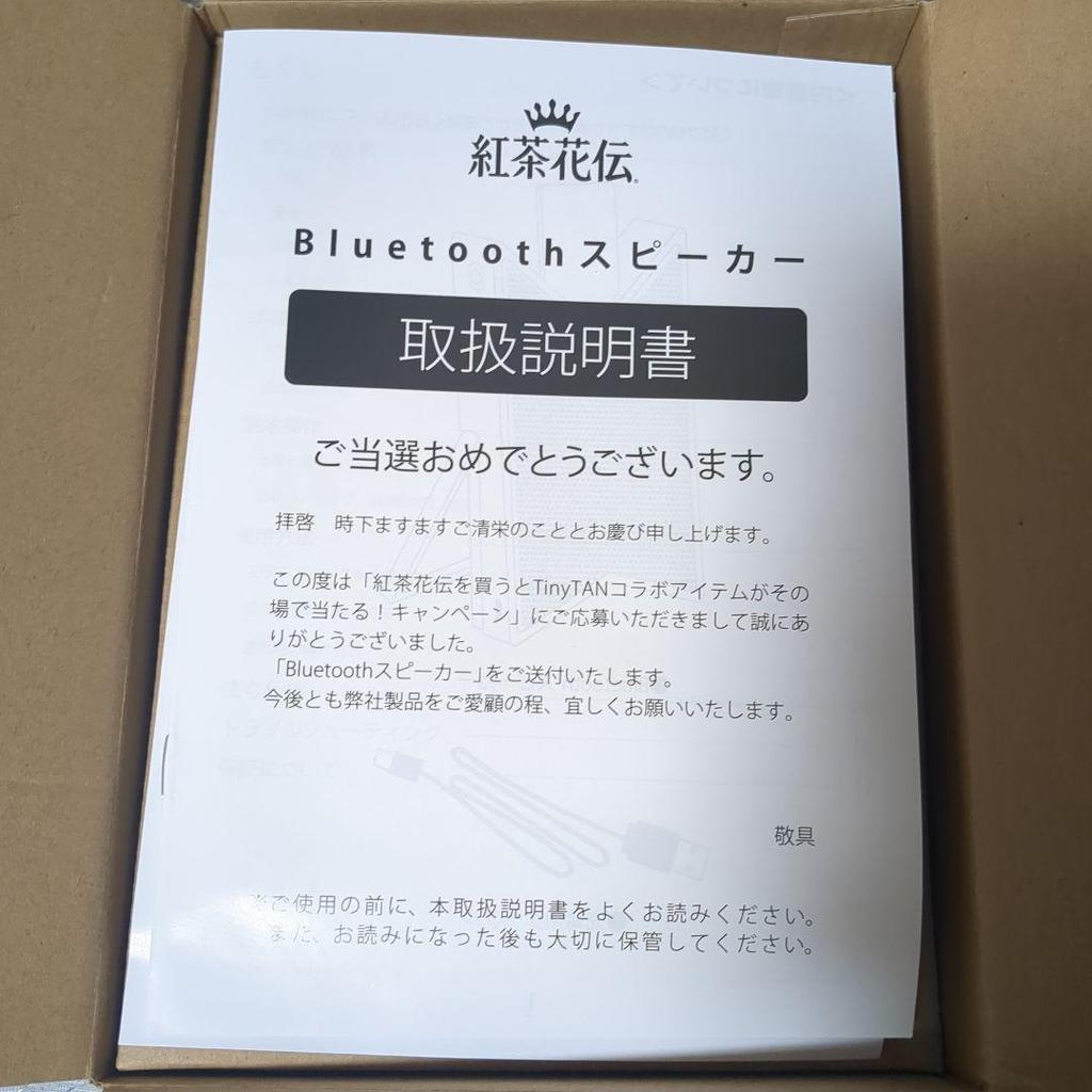 [USED] Not for Sale: Kochakaden TinyTAN BTS Speaker by Jung Kook