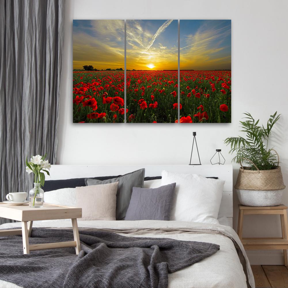 Three Piece Picture Canvas Print Field Poppy Sunset