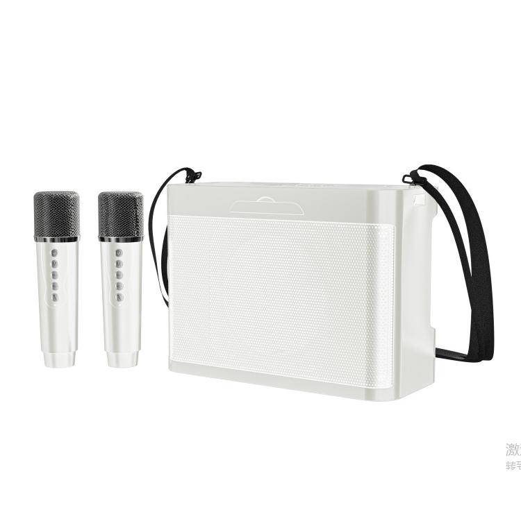 

#20 Вт Мощная Беспроводная Портативная Двойная Микрофона Bluetooth Колонка Hi-Fi Стерео Семейная Вечеринка Караоке Сабвуфер Бумбокс подарки 2025 белый