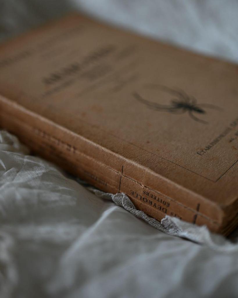 [USED] French Antique Rare Spider Book