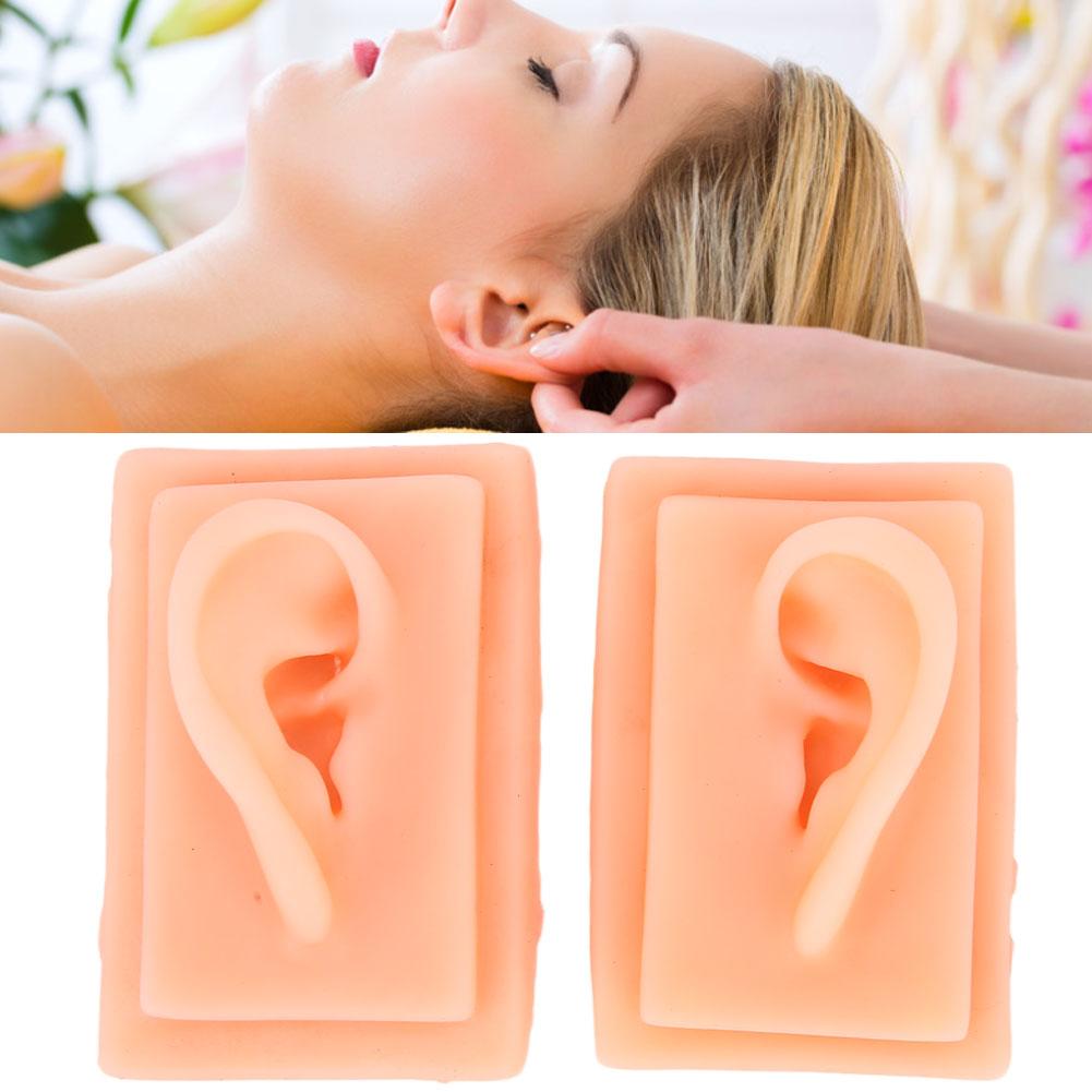 Silicone Ear Model Acupuncture Practice Human Soft Teaching Left Right Ear Model