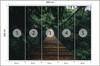 Photomural Suspension Bridge In A Forest Self-Adhesive Mural 400x280