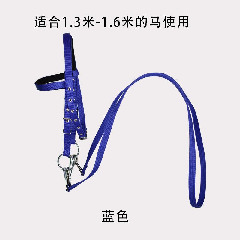 Standard Thread Plate Riding Bridle Reins Suitable for Horses and Ponies