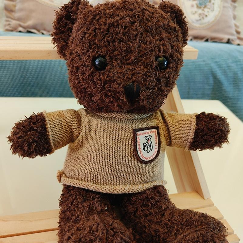 Plush Toy Teddy Bear Doll Plush Toy Doll Gift Animal Bear Doll Gift Throw Pillow