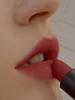 CATALIC Narcissus Mood Layer Lipstick 106. URBAN CHILI