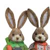 1 Pair Artificial Woven Figures Animal Model Sculpture Standing Statue Doll for Office Easter
