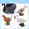 Beautifully Crafted Realistic Black Swan Hen Duck And Goose Farm Animal Models Decor