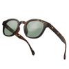 [Puente] Sunglasses for Men and Women - Stylish, Demi Tortoiseshell, Green, Light Green, Wellington Style, Suitable for Driving, UV Protection (UV400)