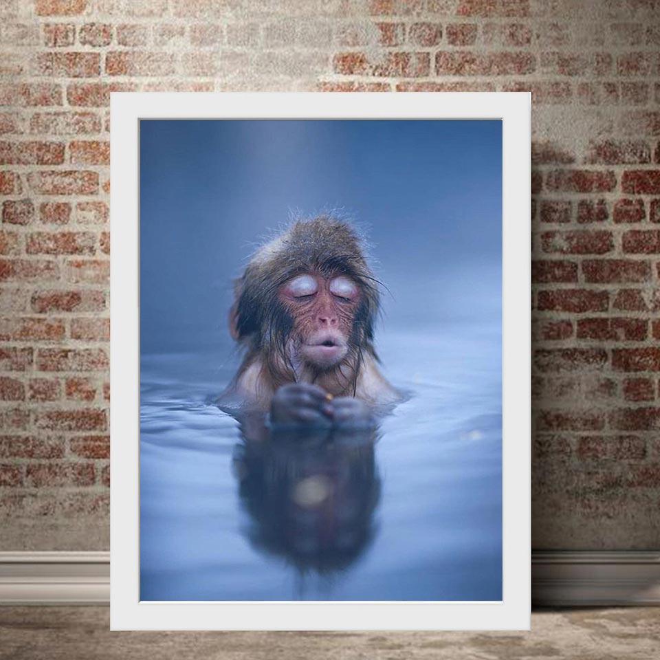 5D DIY Diament Malarstwo Małpa w gorącej wiośnie Pełny kwadratowy haft diamentowy