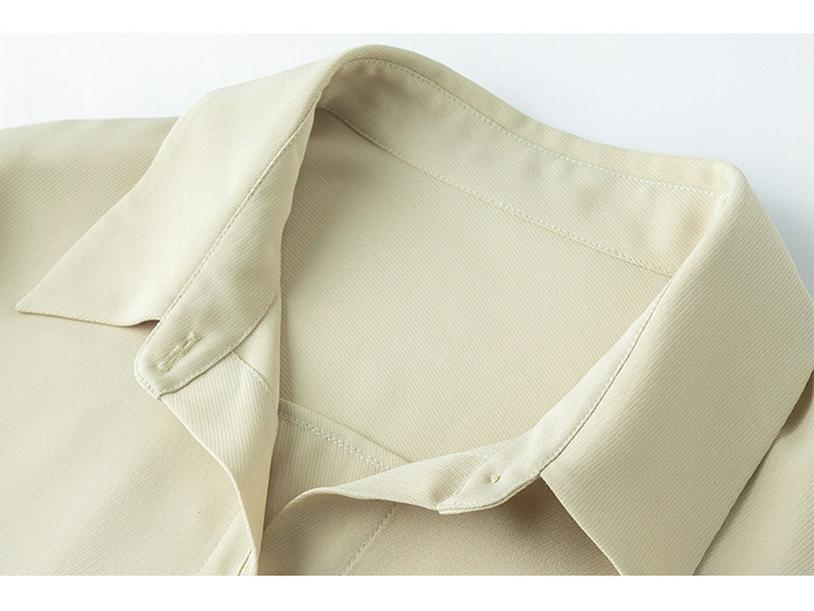 2025 Frühling/Herbst Damen Luxus Maulbeerseide Langarmhemd - Schwergewichtig, Verdickt, Einfarbiges Pendeloberteil