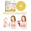 EELHOE Breast Care Patch Ginger Breast Plumping Patch Firming Firming Full Breast Lifting Patch Breast Care