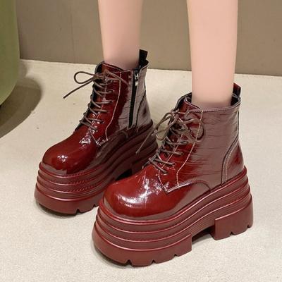 Fashion Women Platform Ankle Boots Fashion Super High Heels Shoes Woman Casual Shoes Winter 2024 Trend Goth Party Lace Up Botas Mujer