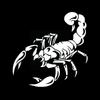 Personalized Car Styling Bumper Stickers 3D Big Scorpion Drawing Cover Decal Car Vinyl Body Scratch Sticker Reflective L8F5