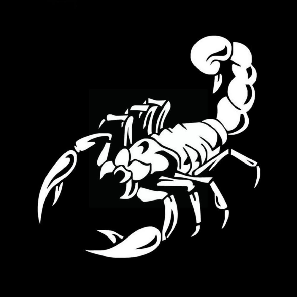 Personalized Car Styling Bumper Stickers 3D Big Scorpion Drawing Cover Decal Car Vinyl Body Scratch Sticker Reflective L8F5