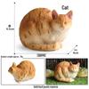 Solid Orange Persian, Ragdoll, Somali, and Blue Short-haired Cat Simulation Models