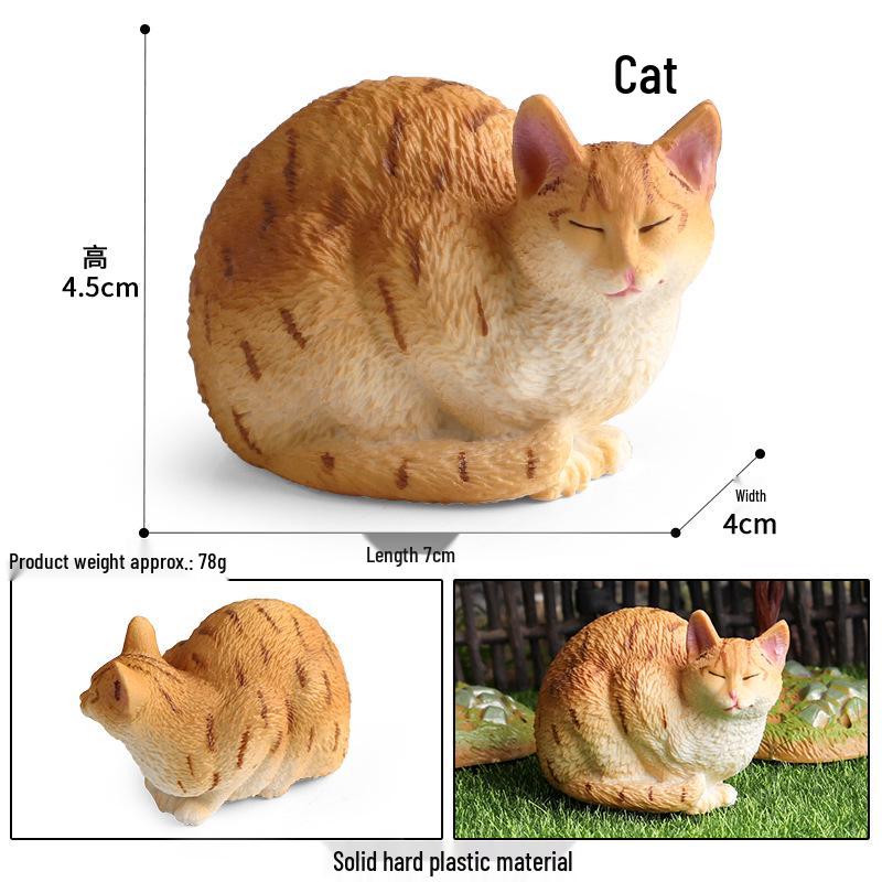Solid Orange Persian, Ragdoll, Somali, and Blue Short-haired Cat Simulation Models