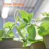 Indoor Greenhouse with Grow Light Mini Green House 4 Pack 20W Full Spectrum Plant Lights Timer Plant Shelf Tent for Indoor Plan