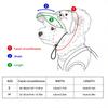 2in1 Pet Sun Hat Sunglasses Set Adjustable UV Protection Baseball Cap with Eyewear for Small Medium Dog Cat Outdoor Beach Summer