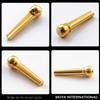 Seiya Brass Bridge Pin Set Gold Acoustic SBP-01