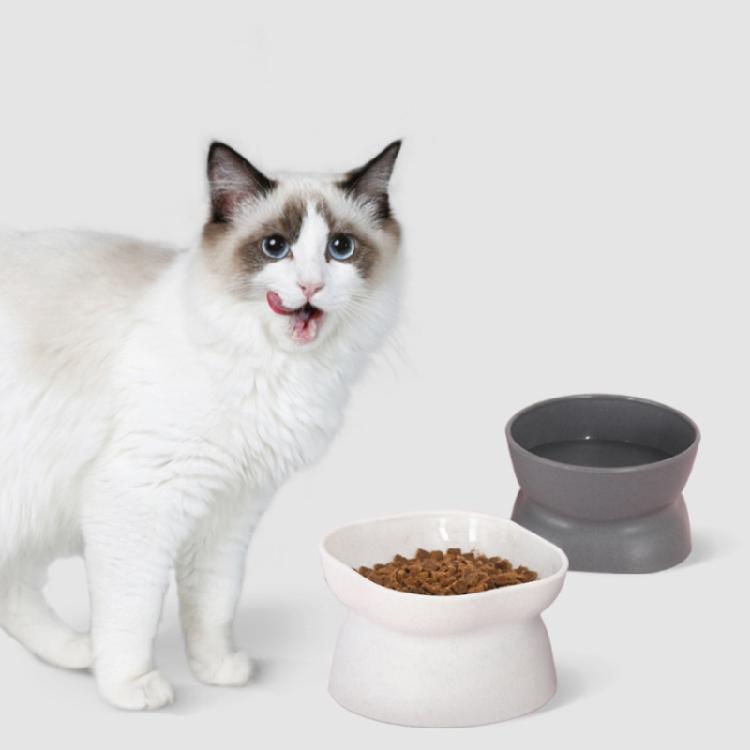 Raised Cats Food Bowls Plastic Cats Dish for Food or Water Tilted Feeding