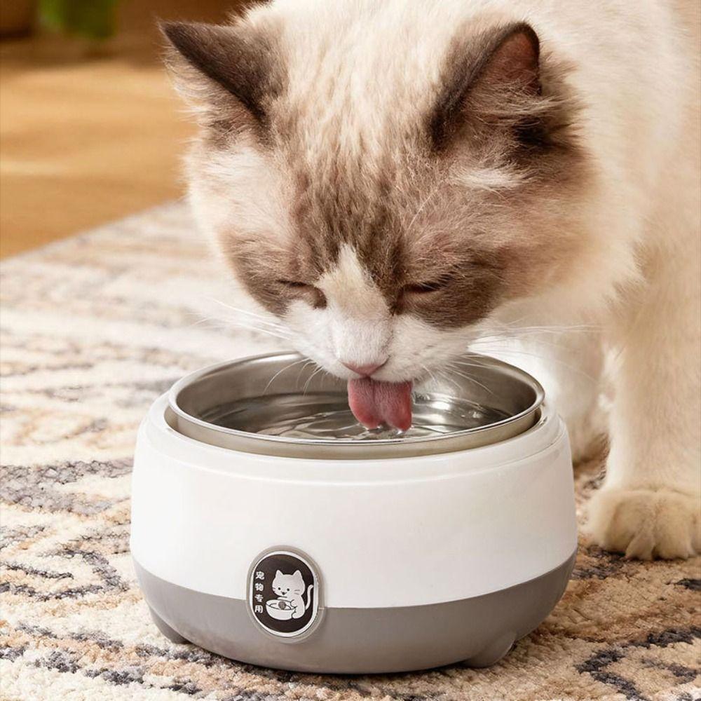 Stainless Steel Pet Heating Water Bowl Low Noise Energy-saving Constant Temperature Cat Bowl Large Capacity Removable