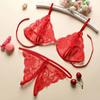 Transparent Thong Floral Panty Women Bra Lace Lingerie Open Cup