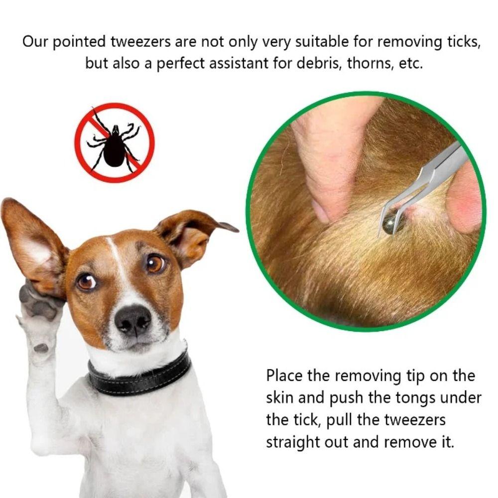Professional Tick Tweezers 2 In 1 Tick Remover Tweezers Pets Flea And Tick Remover  Pets