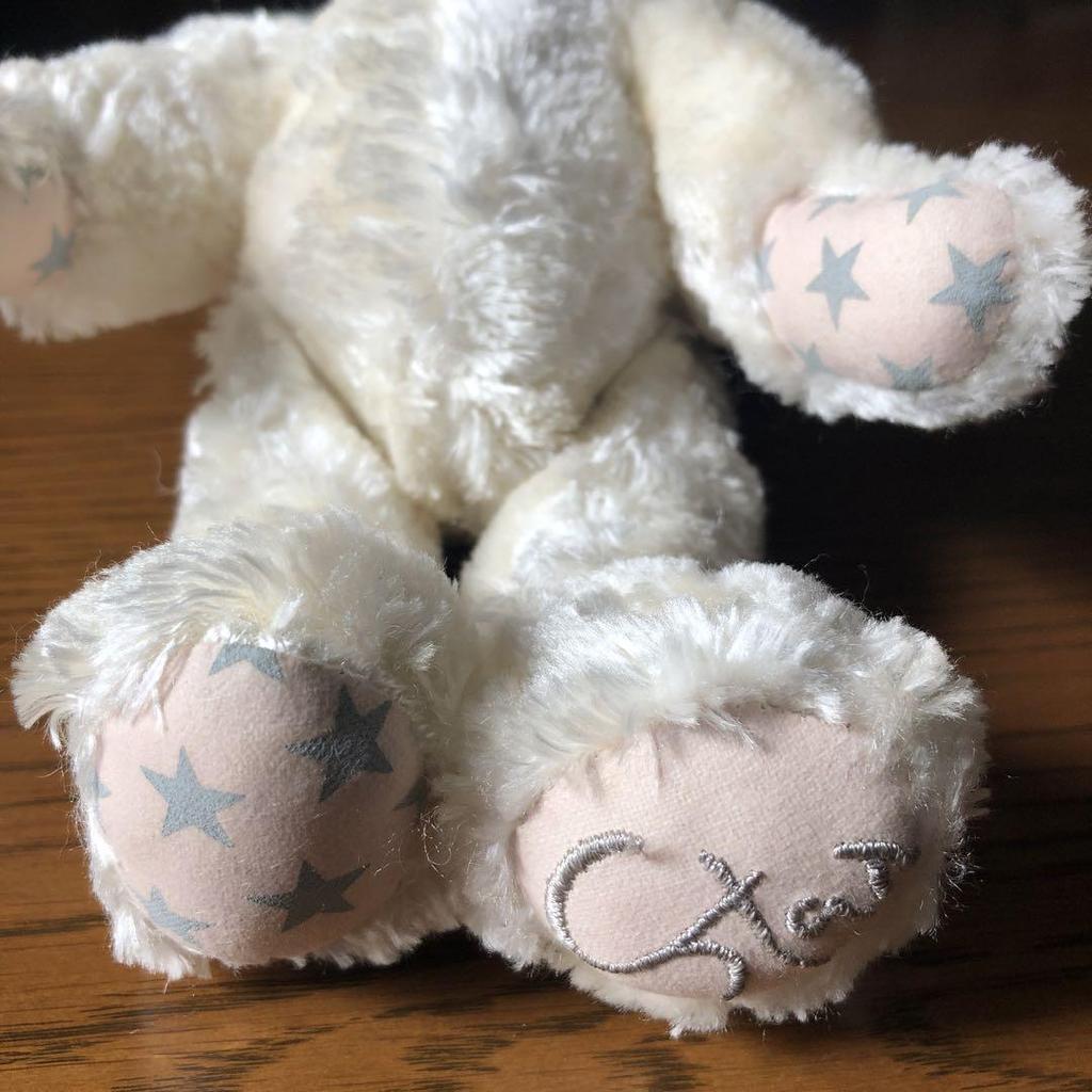 [USED] Star Jewelry Teddy Bear
