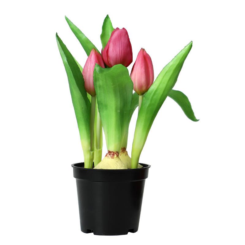 Tulip Bonsai Home Interior Decoration Project Green Plant Flower Pot Simulation Plant Wall False Flower