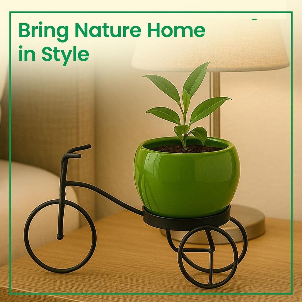 Cycle-Shaped Metal Plant Stand for Indoor & Outdoor Use, Metal Cycle Flower Vase, Decorative Iron Planter Pot Holder