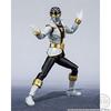SHODO SUPER Kaizoku Sentai Gokaiger 2 figure optional parts (1 + set)